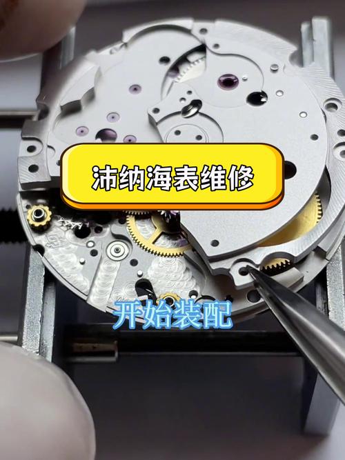 沛納海維修天津，沛納海維修視頻